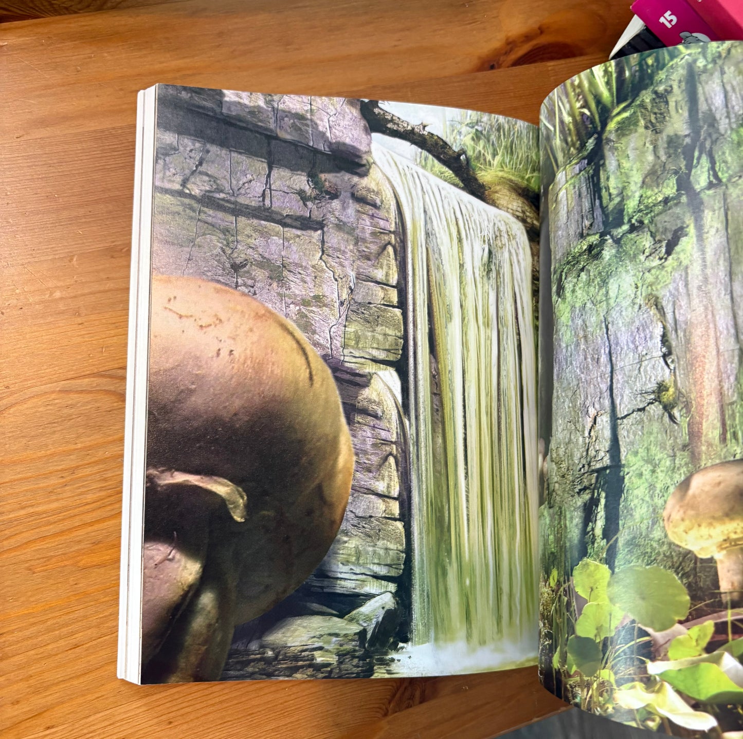 Livre fantastique Arthur