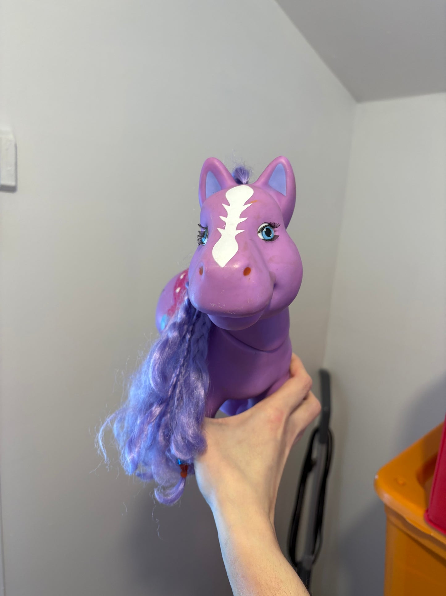 Cheval poney