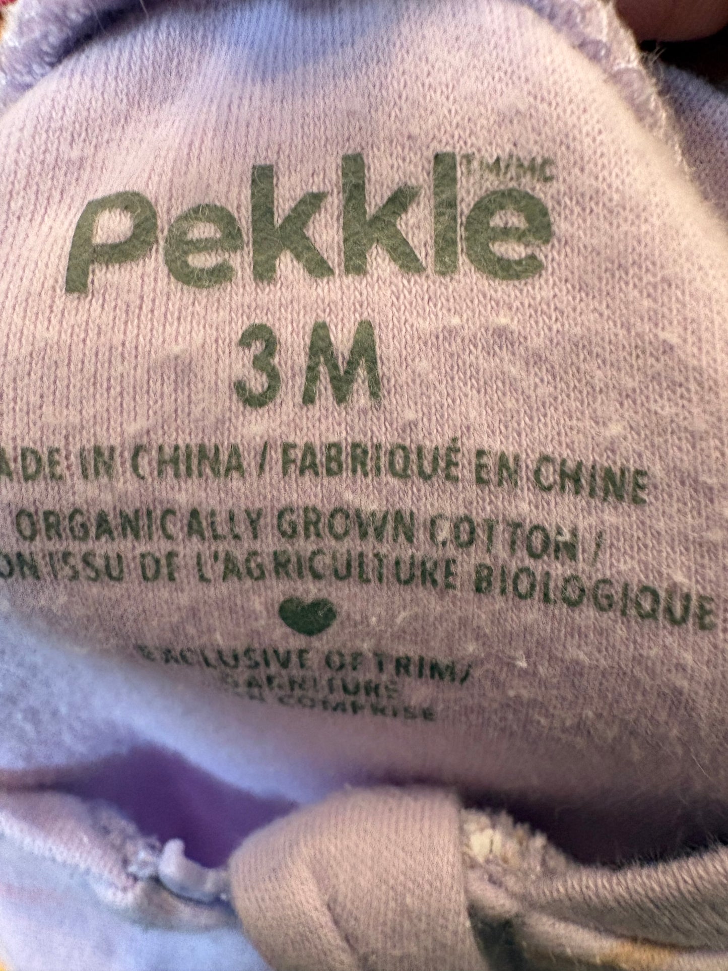 Pekkle 3 mois