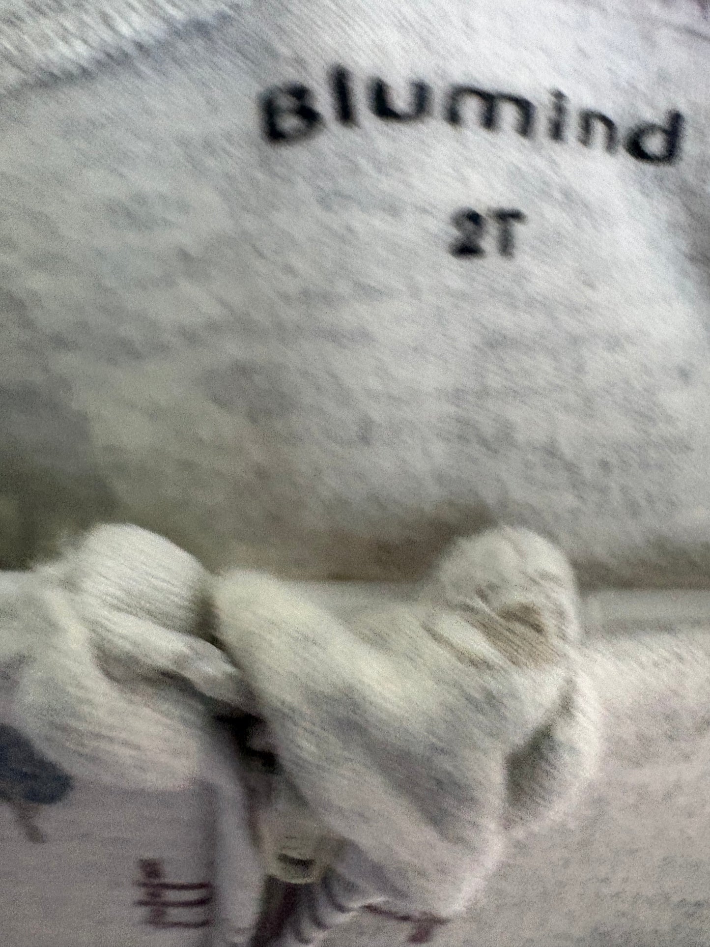 Pyjama blumind 2T (cmb)