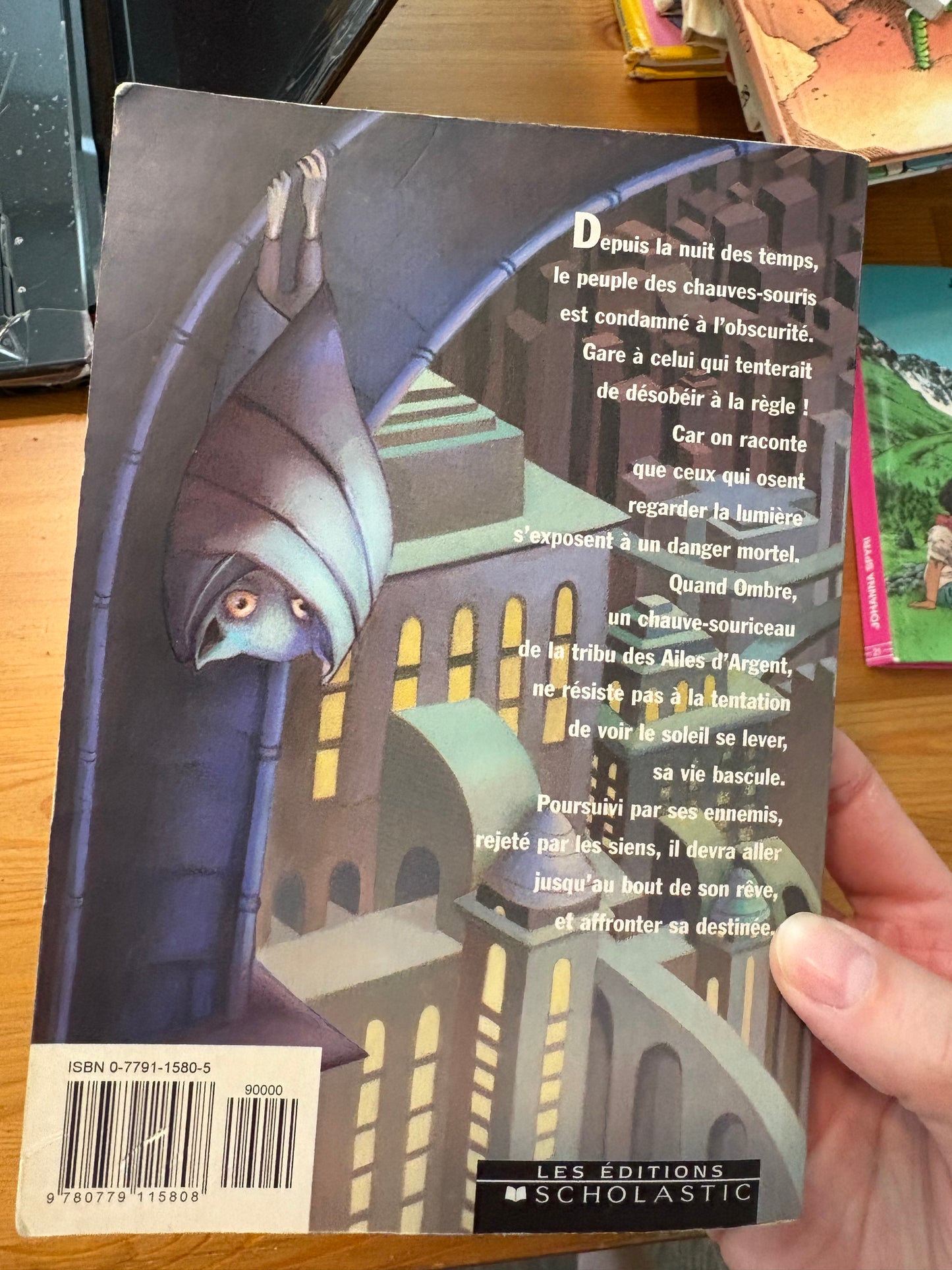 Livre aventure Silverwing ados/ enfant