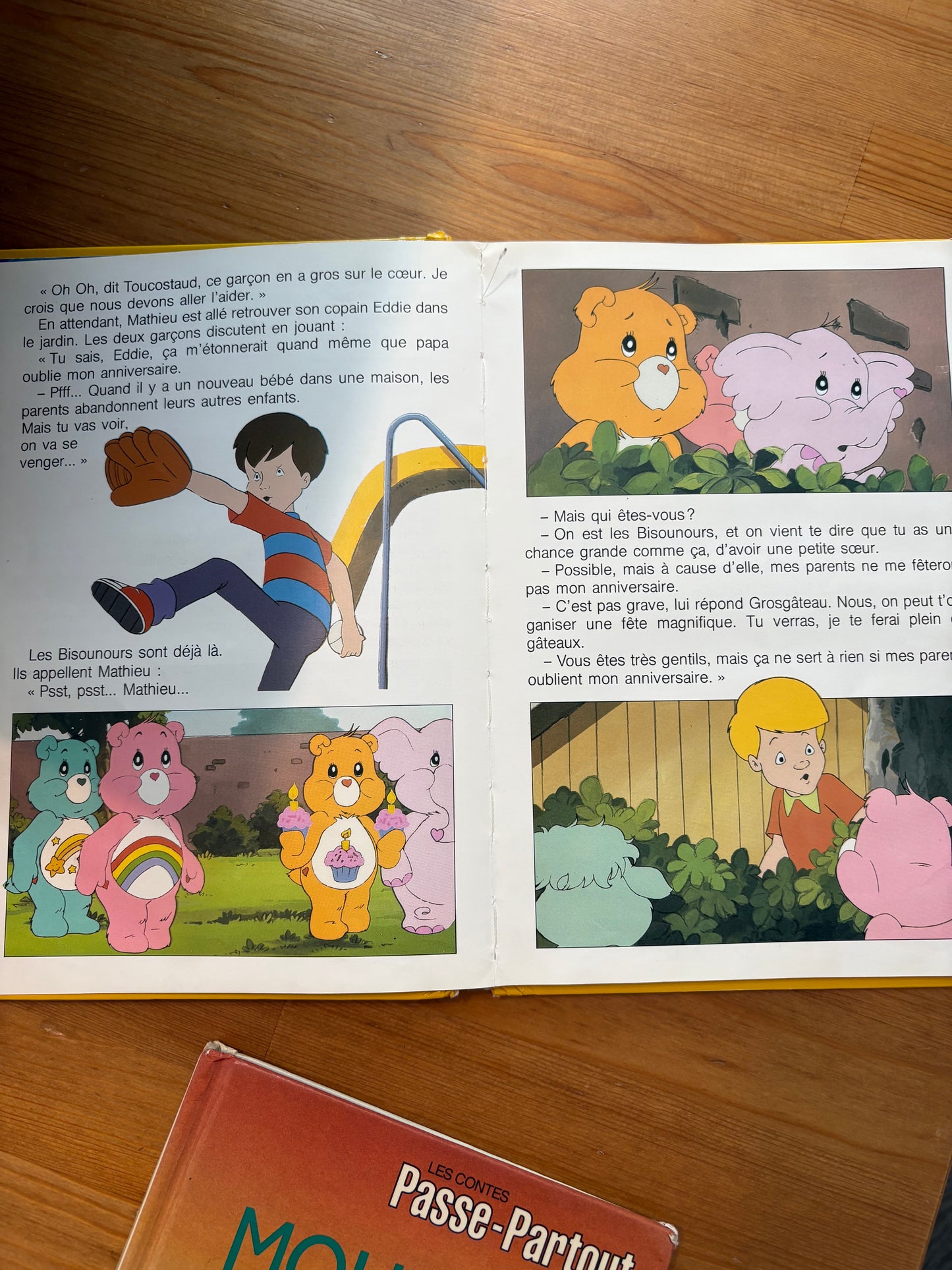Livre vintage 80’’ *