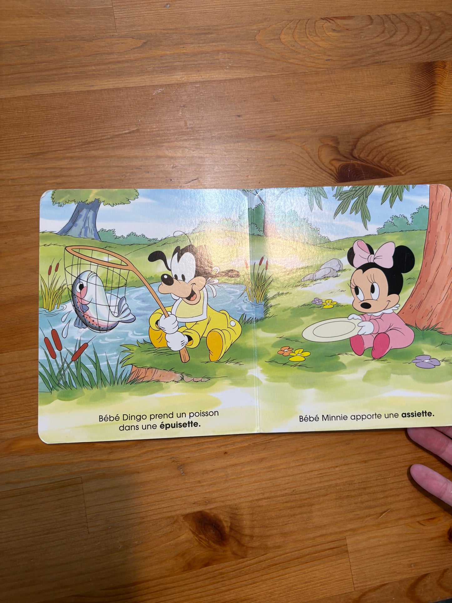 Livre BB dingo prend un poisson