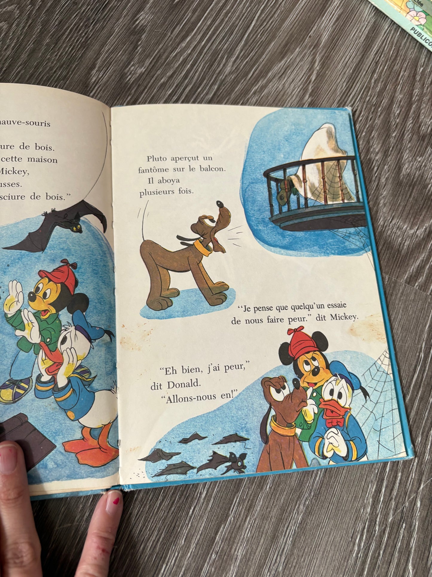 Livre disney vintage