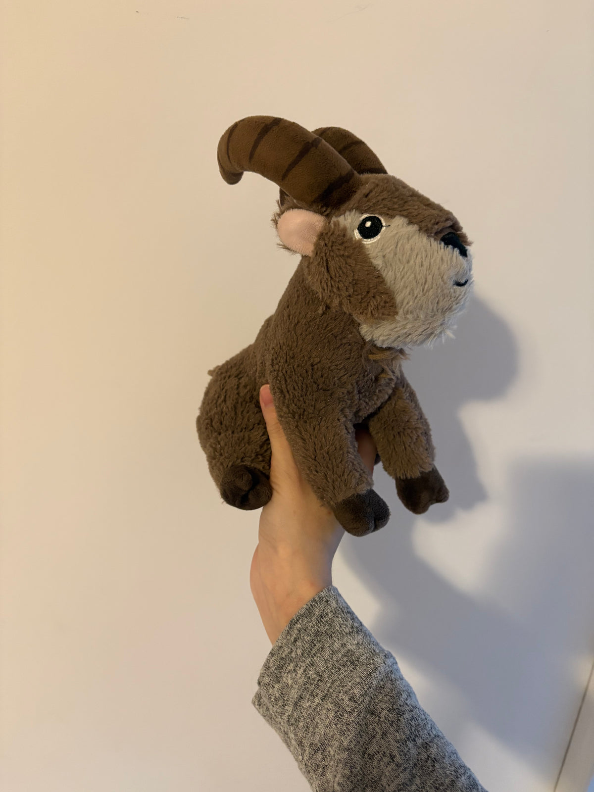 Peluche