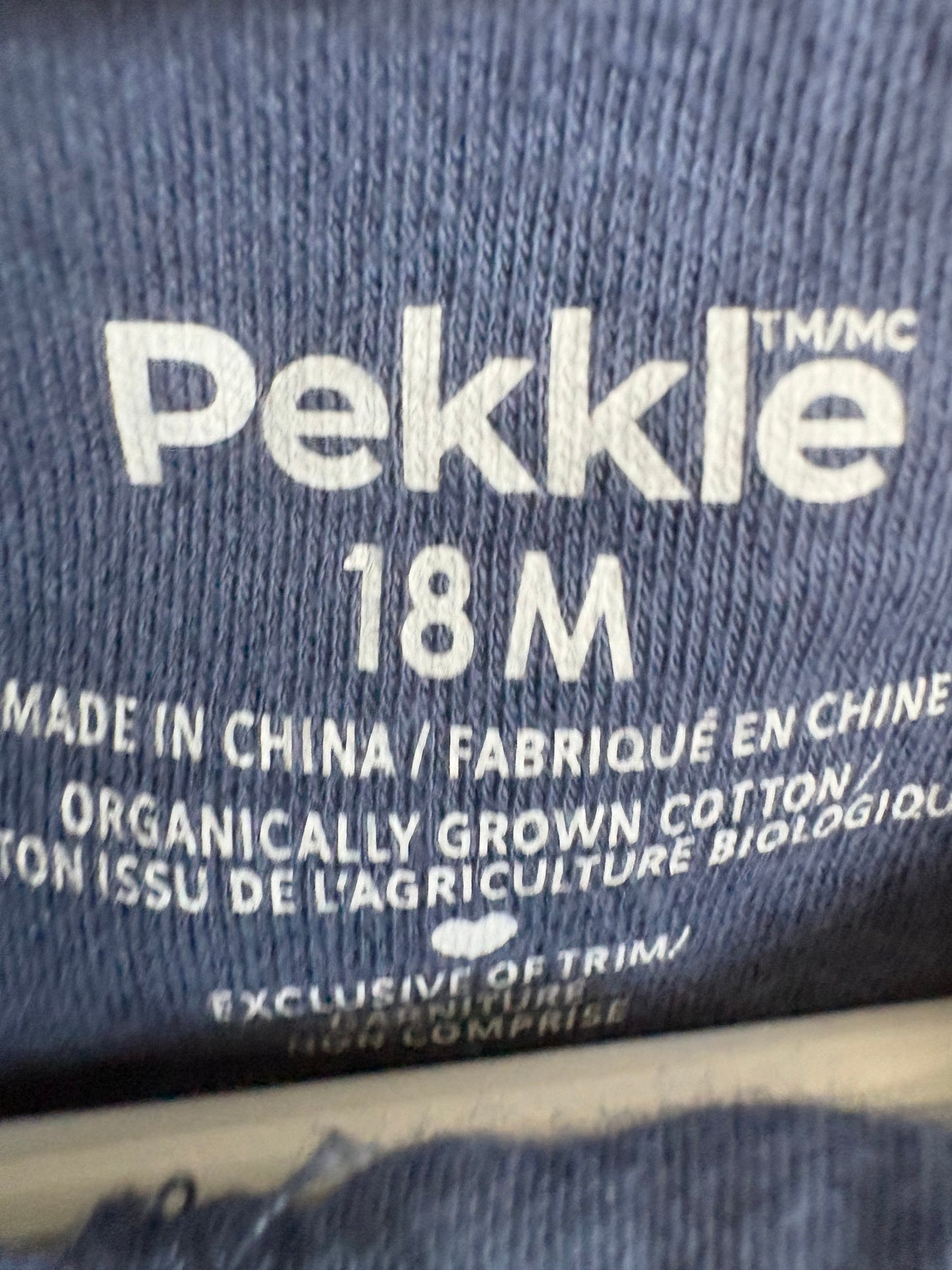 Pekkle 18 mois (cmb)