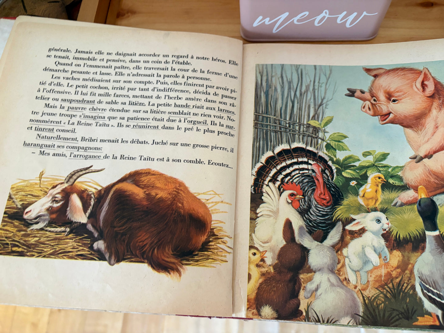 Livre vintage 1970 environ