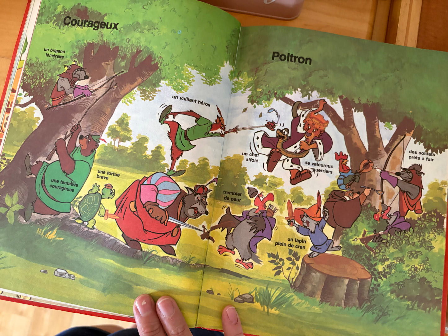 Livre disney au royaume du contraire