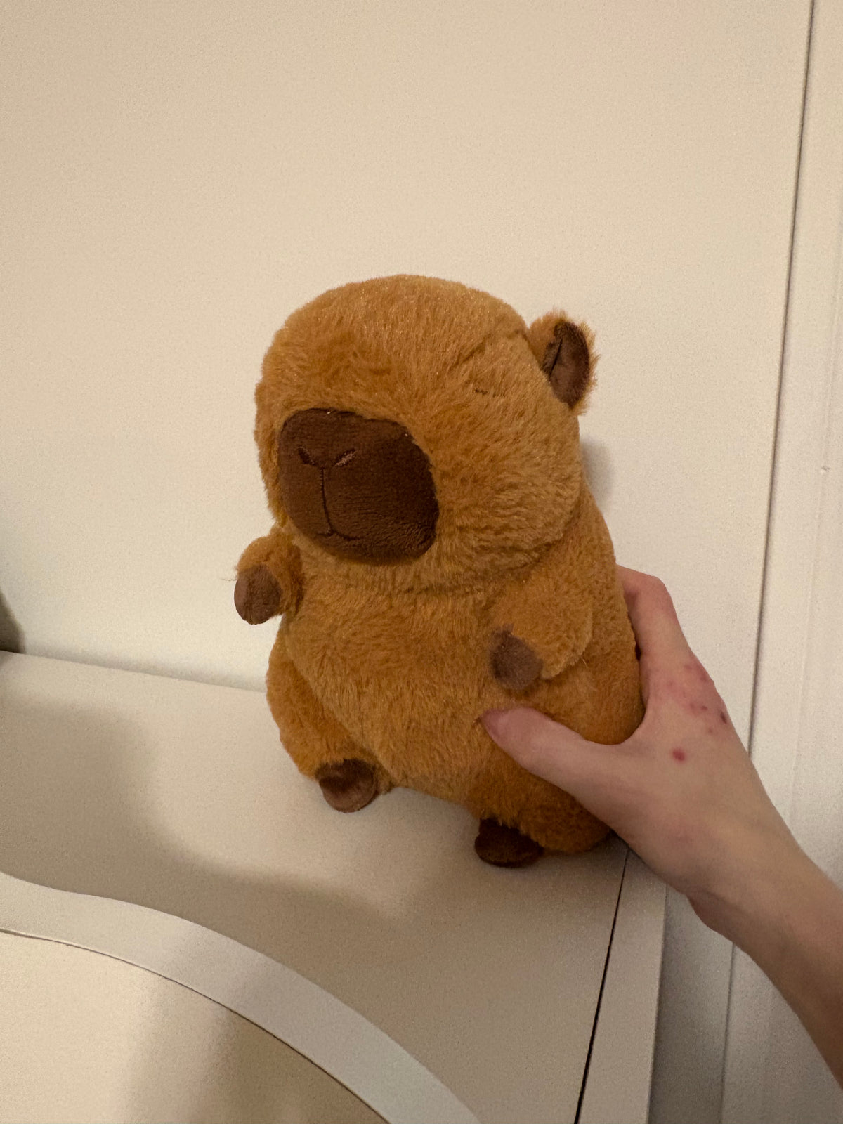 Peluche