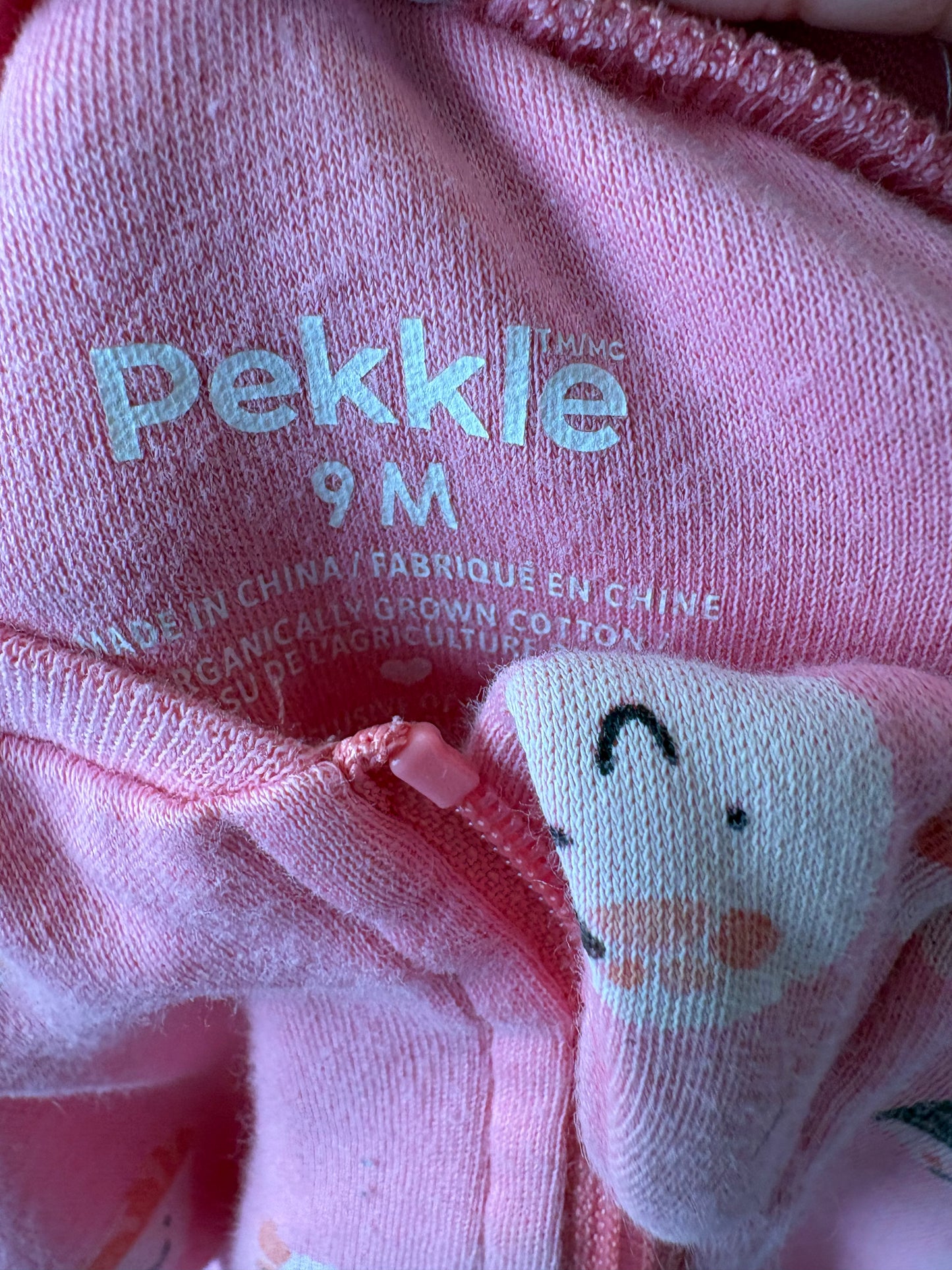 Pekkle 9 mois *imparfait* (cmb)