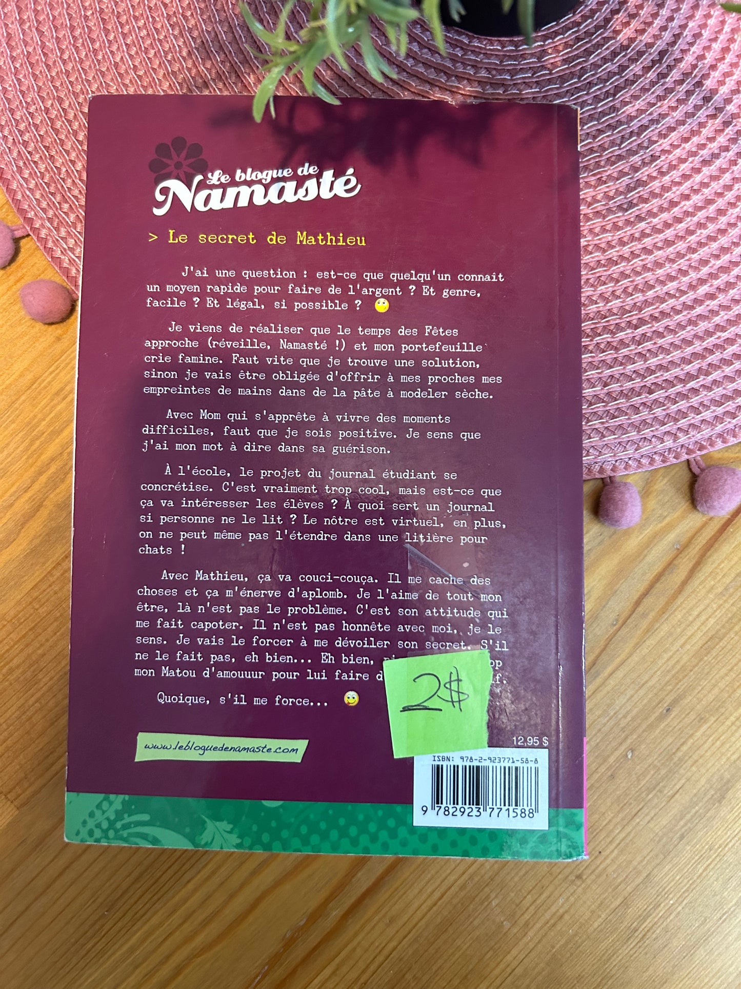 Livre le blogue de Namasté tome 10