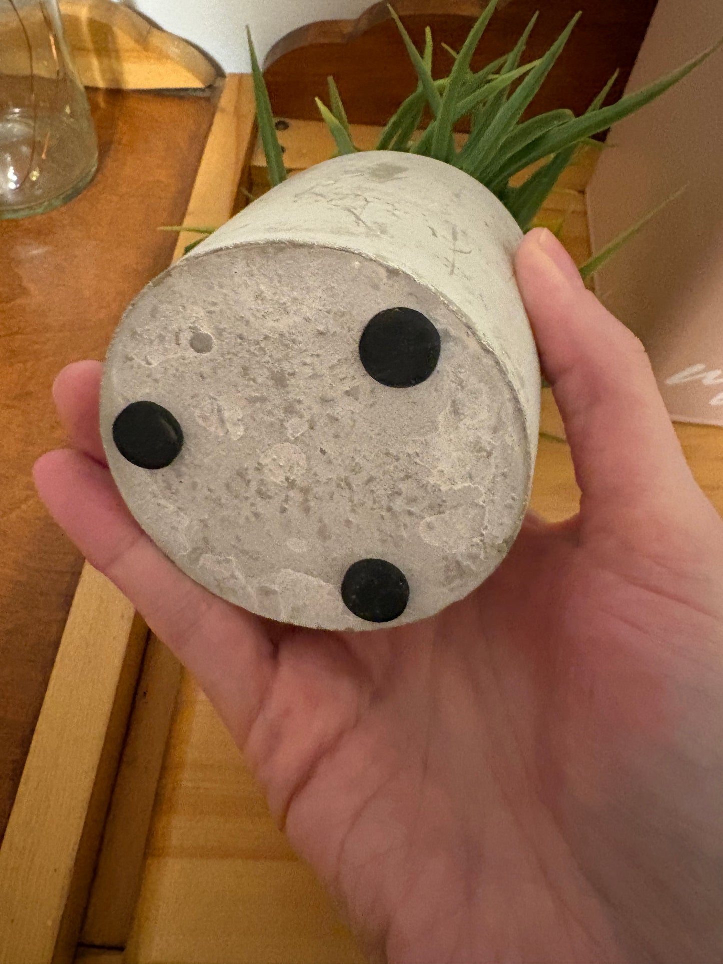 Fausse plante (déco)