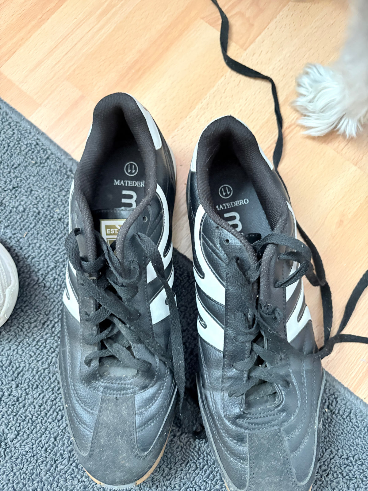 Soulier mitre matadore homme taille 11