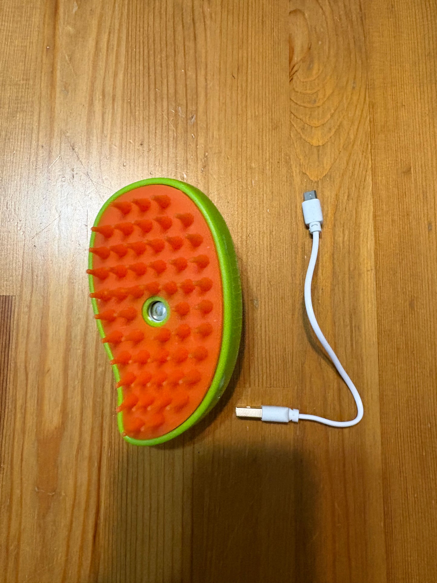 Brosse à vapeur pour animaux