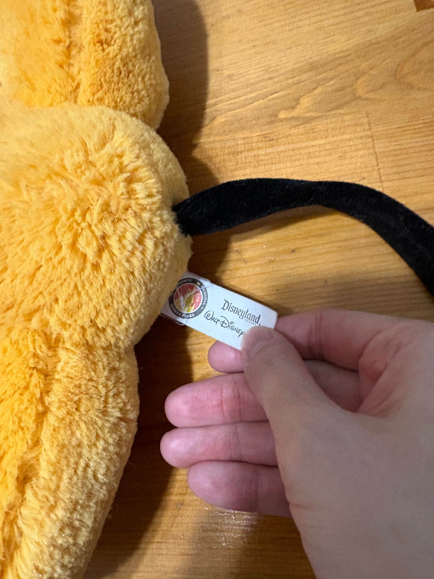 Plutot Disney’s world