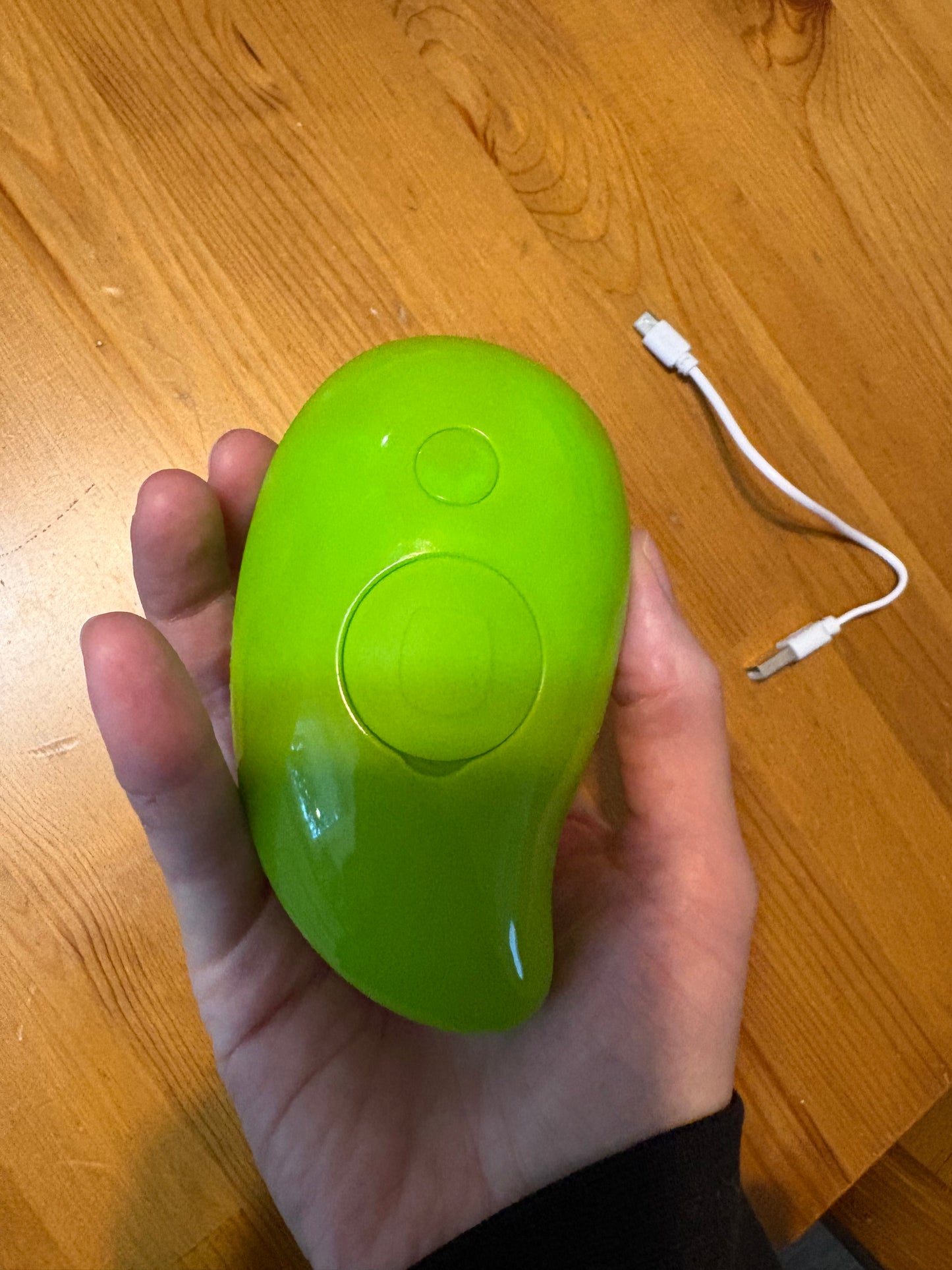 Brosse à vapeur pour animaux