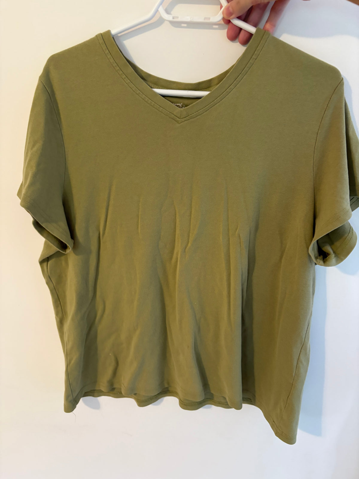 t-shirt 3x