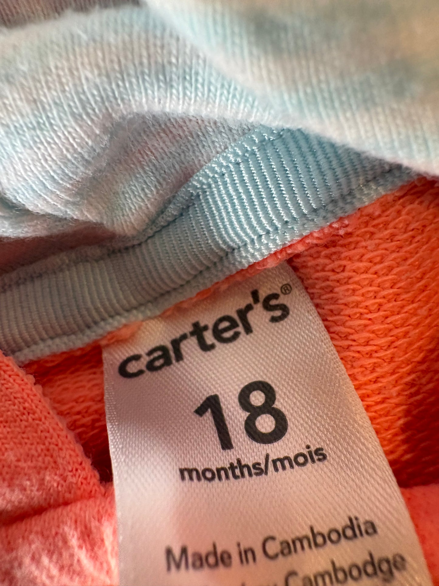 Chandail 18 mois carter's (cmb)
