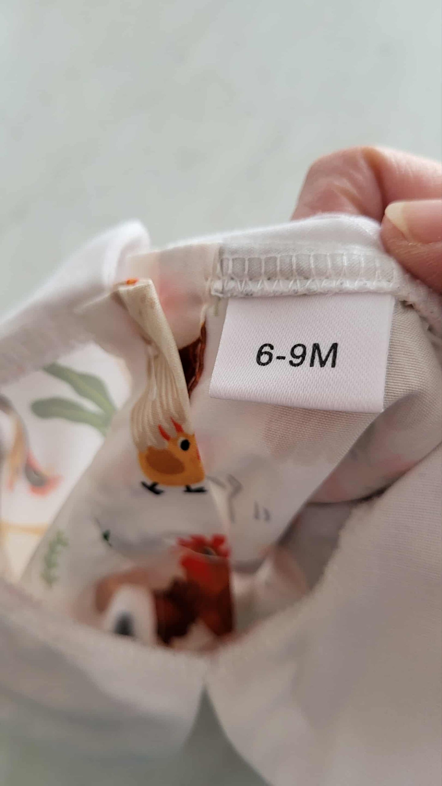 Robe petite poule 🩷 6-9 mois (internet)