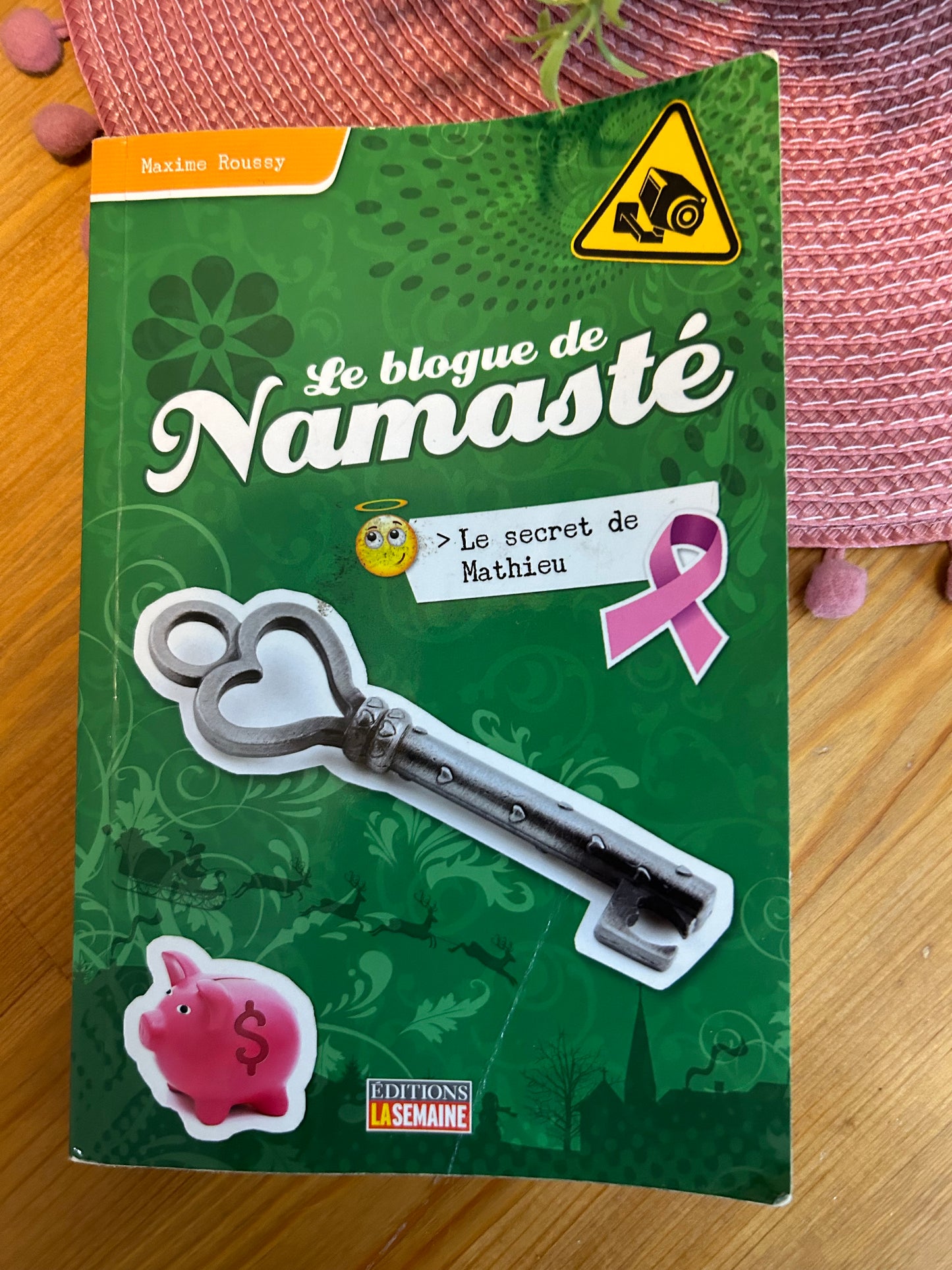 Livre le blogue de Namasté tome 10