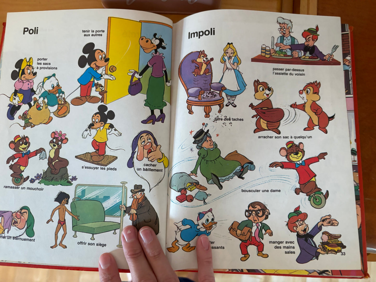 Livre disney au royaume du contraire