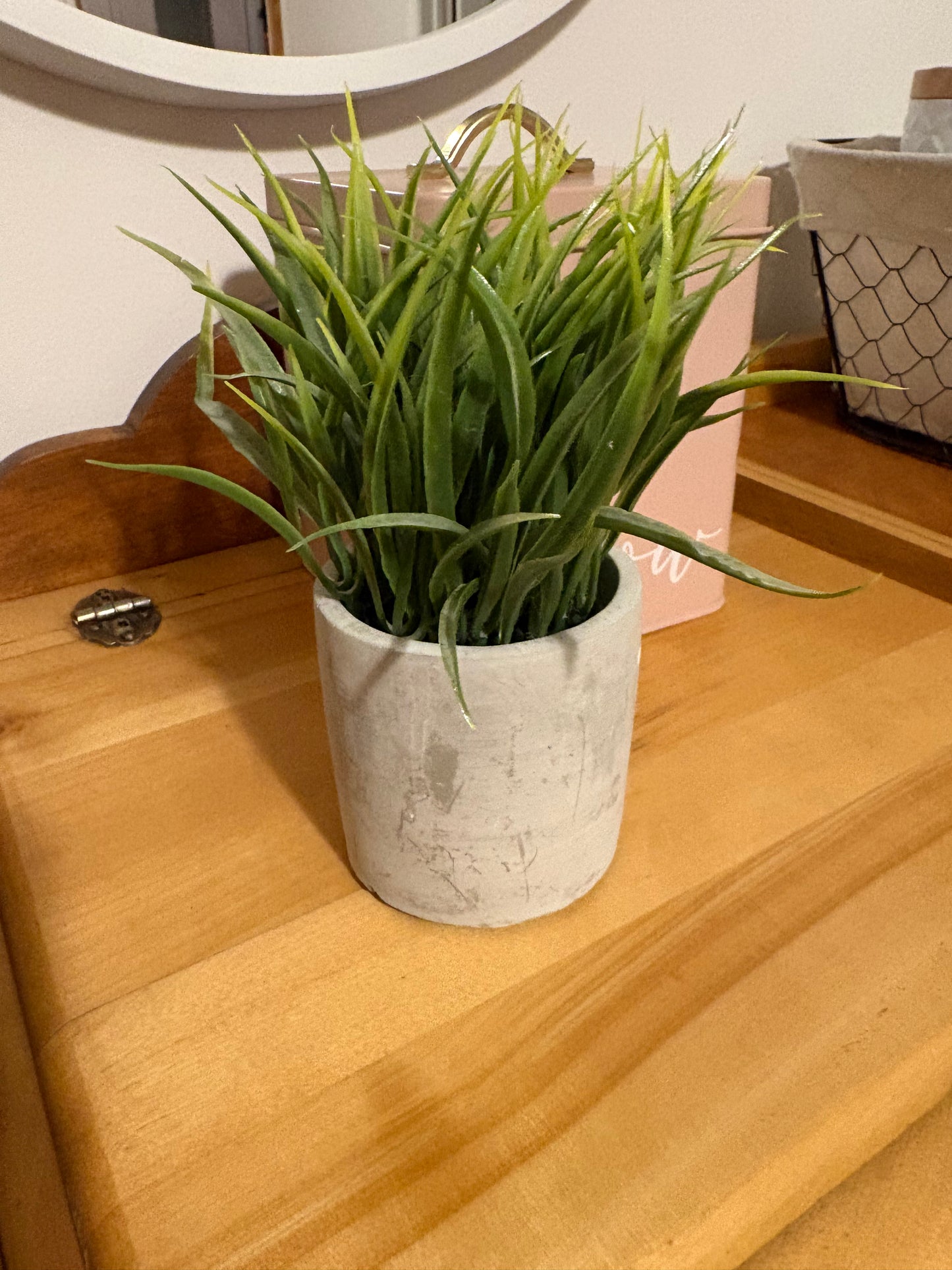 Fausse plante (déco)