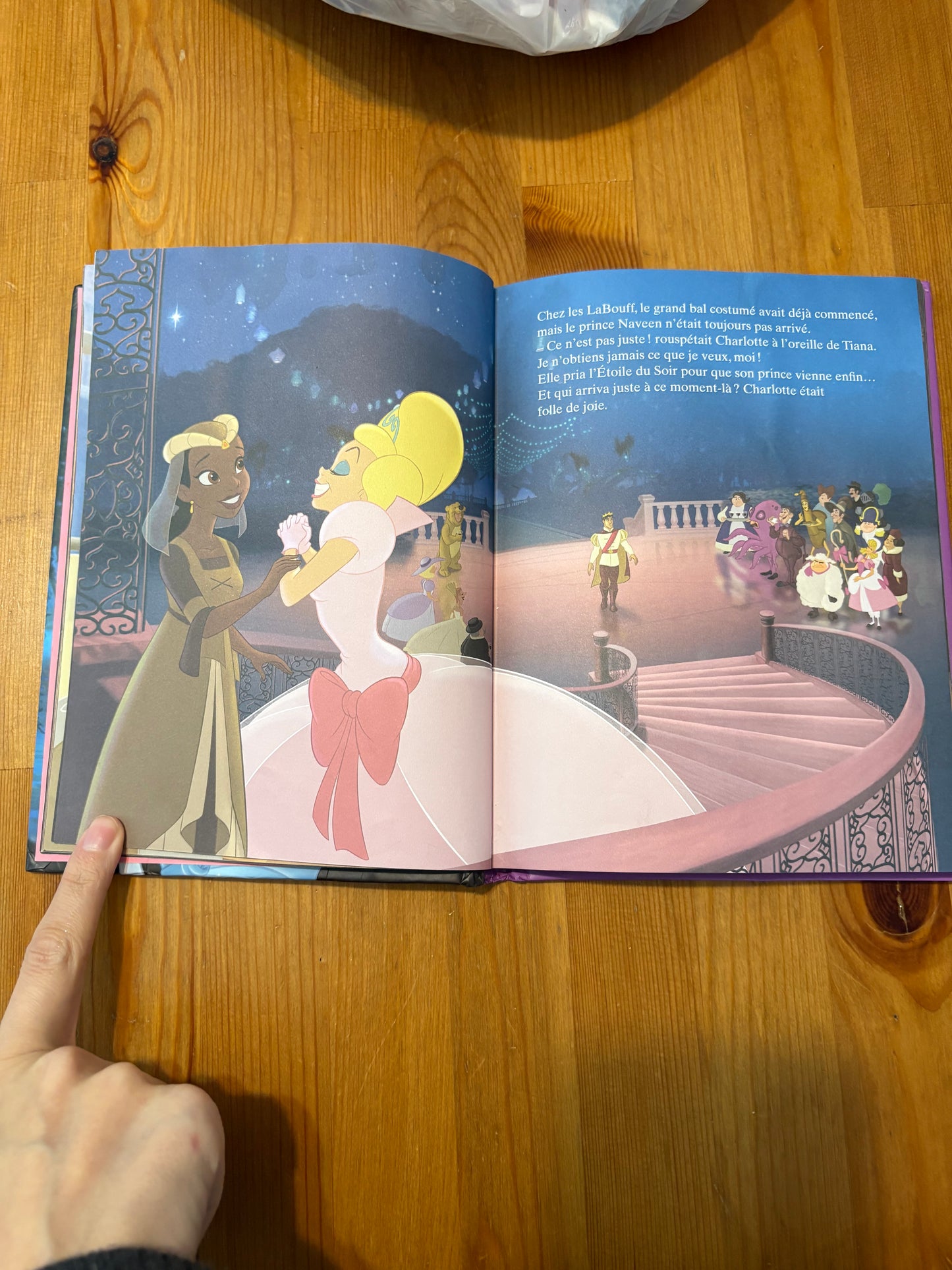 Livre la princesse et la grenouille
