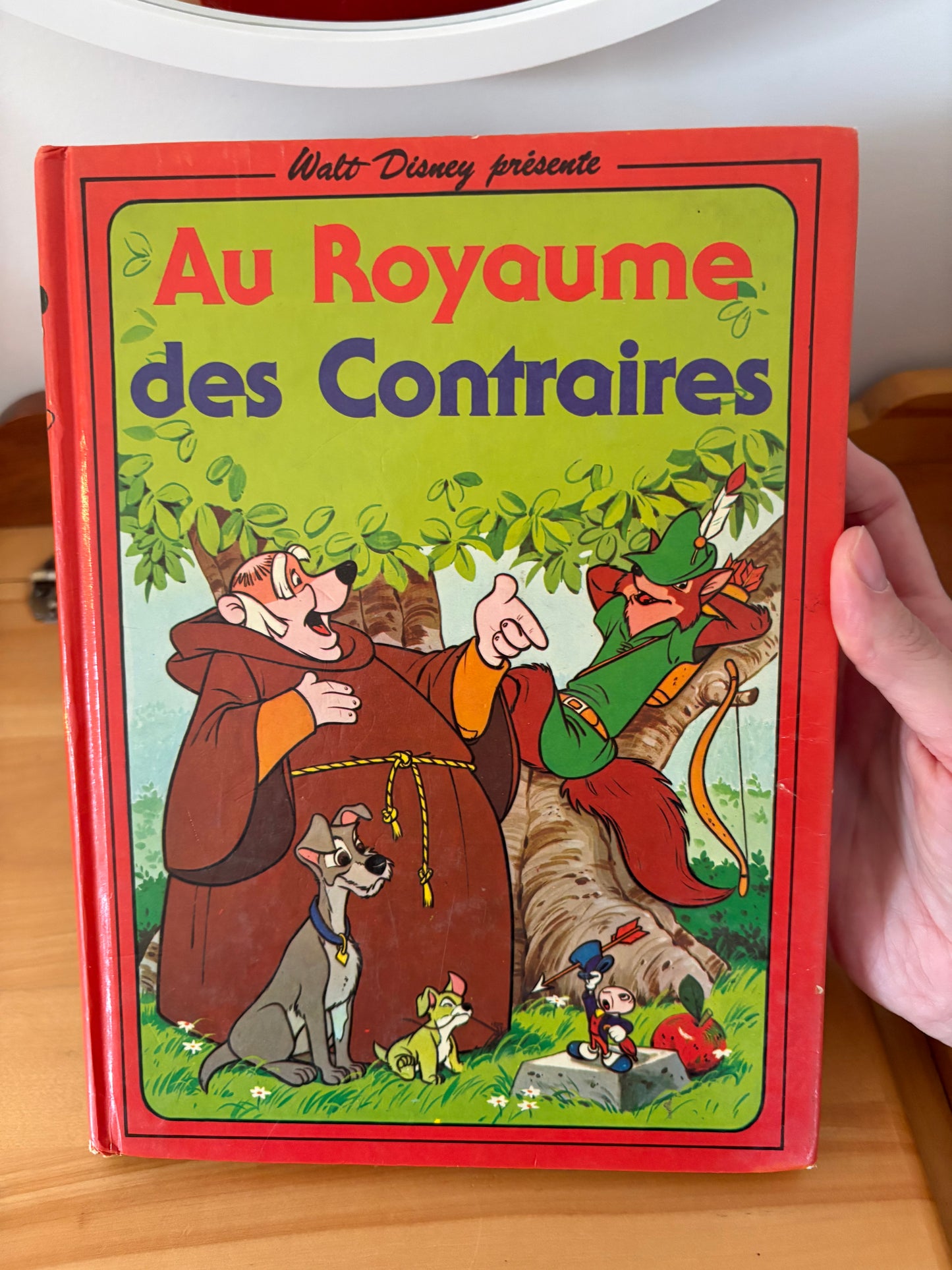 Livre disney au royaume du contraire