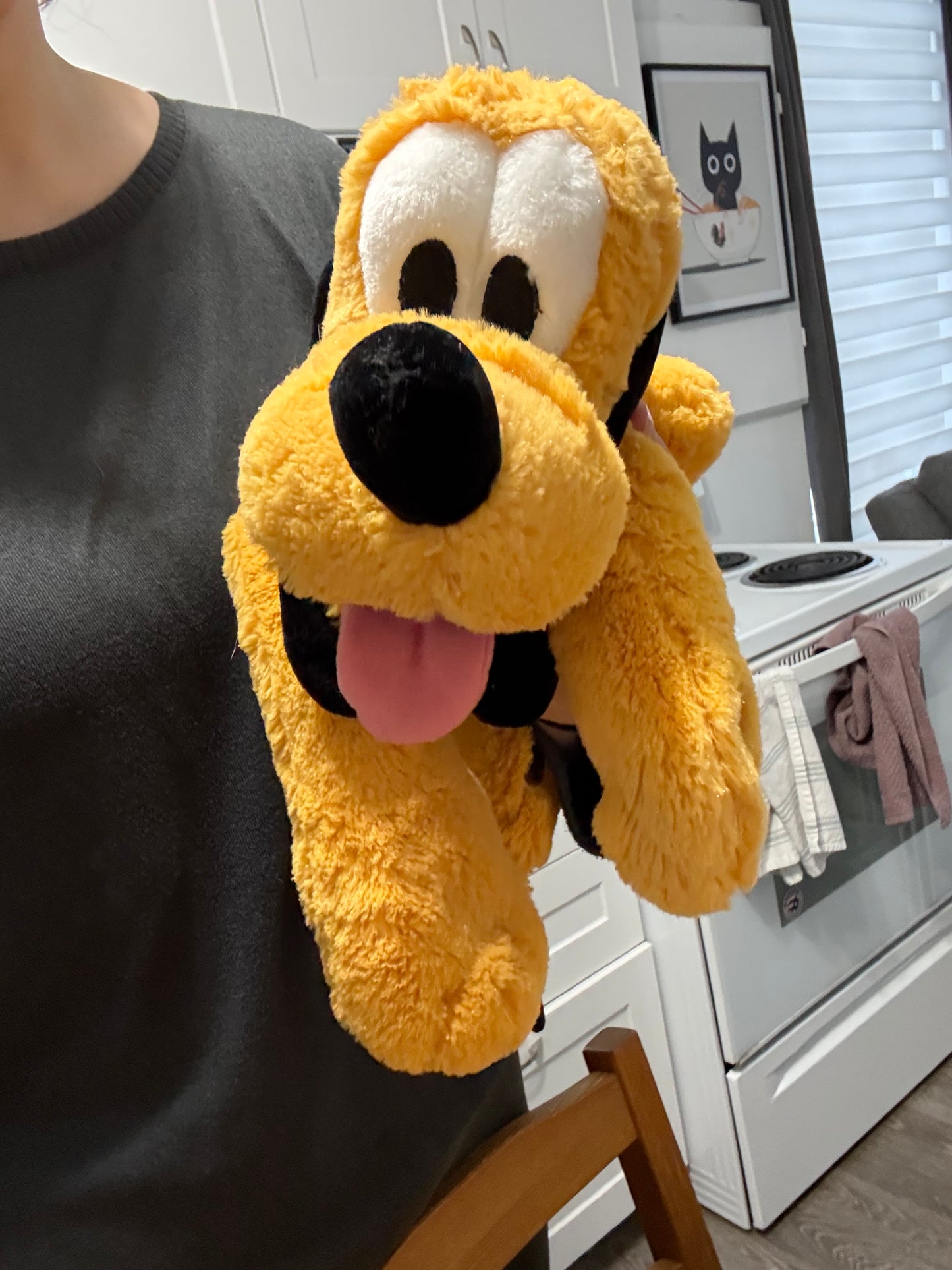 Plutot Disney’s world