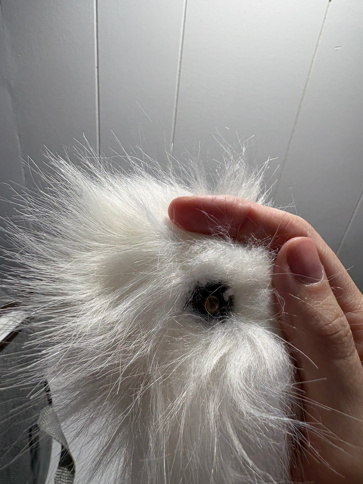 Pompon fausse fourrure à snap pour tuque