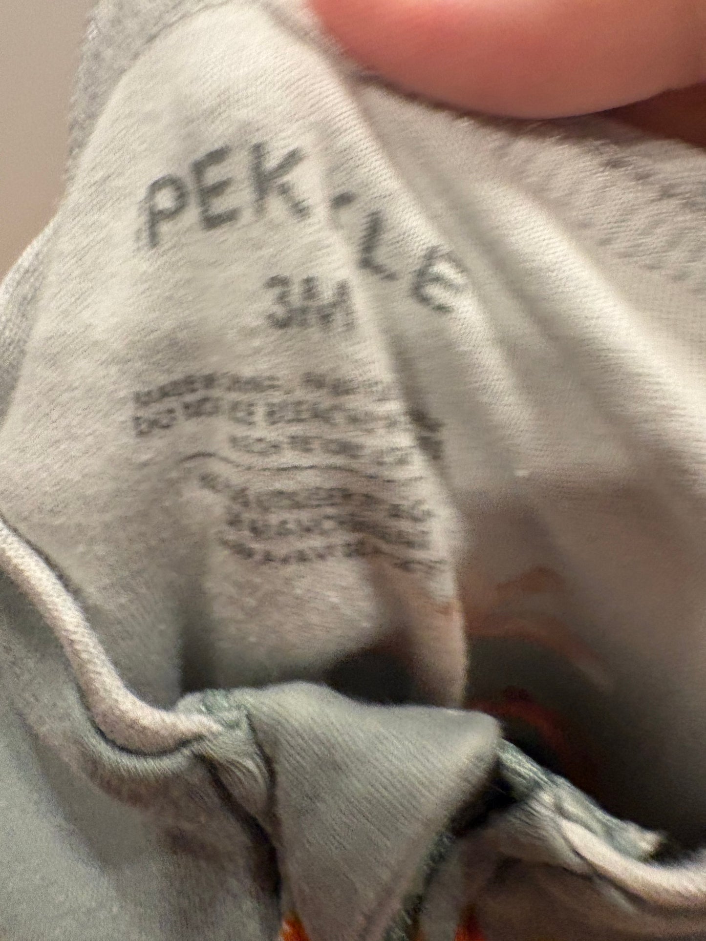 Pekkle renard 3 mois (rare)✨ (cmb)