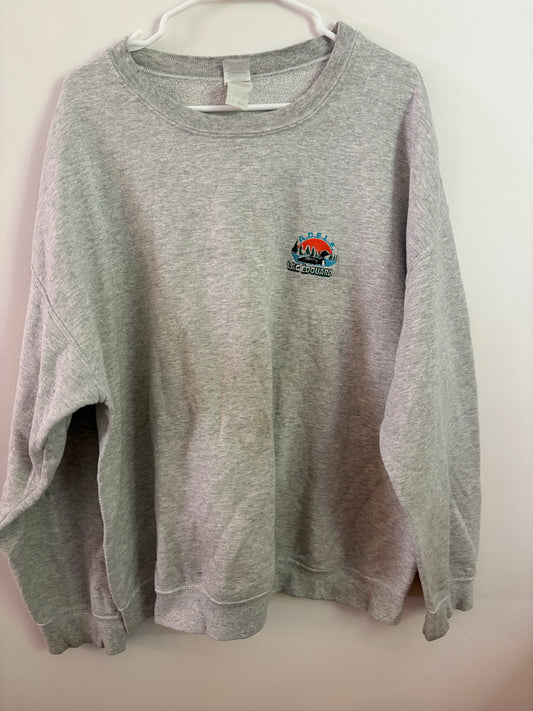 Hoodie homme XL